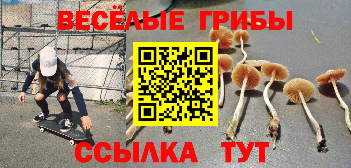 Похвистнево  Галлюциногенные грибы мухоморы  Вход с VPN  Галлюциногенные грибы ЛСД 